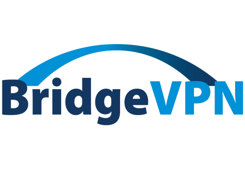 CTRLink BridgeVPN